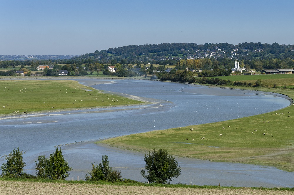 INRAE_BzhNdie's tweet photo. [#Emploi] #UMRESE recrute un chargé de mission pour la coordination du programme scientifique de restauration écologique du fleuve #Sélune (H/F).
✅Prise de fonction : 1 mai
✅#CDD 2 ans renouvelable
✅https://t.co/E3Z6twKaq3 https://t.co/R2DY1rSbZq