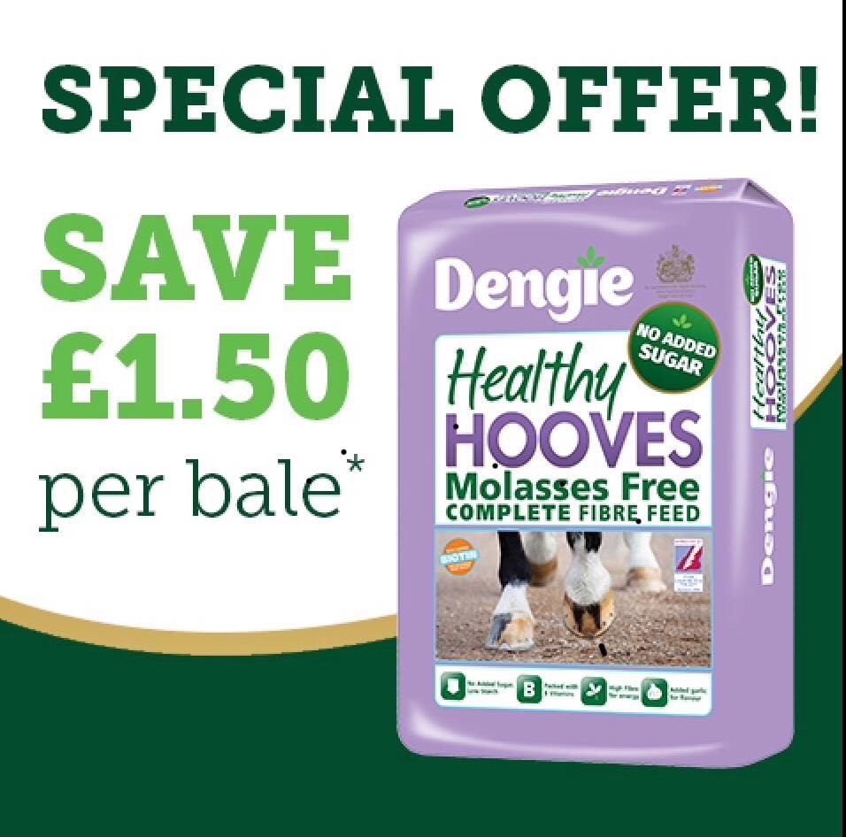 Special** on <a href="/DengieHorseFeed/">Dengie Horse Feeds</a> Healthy Hooves Molasses Free this month - SAVE £1.50 #horses #pony #laminitis #Ayrshire #horsehealth #shoplocal #smallbiz feeds.gibbofgalston.co.uk/product/health…