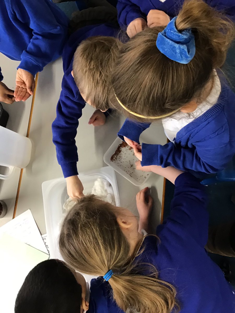 BPSEYFS's tweet image. We are growing cress seeds to observe the changes each day.  Ask us what plants need to grow.#observationalscience