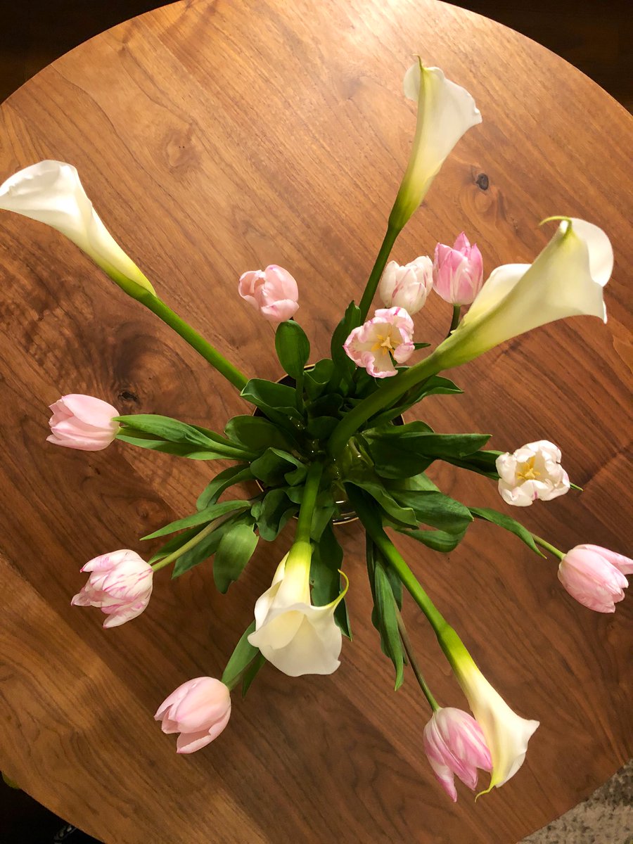 陣内 切り花を買いました チューリップとカラー二束で 税込み660円 今の時期 花卉と牛乳と国産肉と あと何を消費すると良いんだっけ 陣内 切り花を買いました チューリップとカラー二束で 税込み660円 今の時期 花卉と牛乳と国産肉と あと何を消費すると良いんだっけ