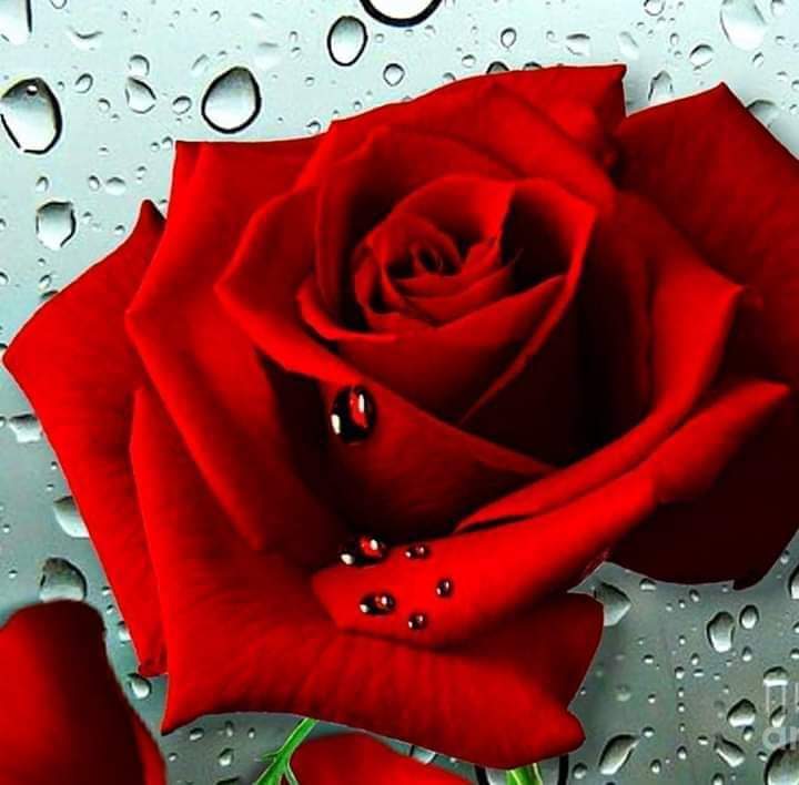 Leer #poesía
es vivir
la vida
con alegría

Aquí puedes encontrar el #poemario que te llenará el alma

<a href="/Asiole_Dorpa/">Eloísa Pardo</a>
<a href="/soniacr03556235/">sonia_crespo</a>
<a href="/DoryLansorena/">𝕯𝖔𝖗𝖞 𝕷𝖆𝖓𝖘𝖔𝖗𝖊𝖓𝖆</a>
<a href="/rgarciaaranda/">Ricardo GAranda</a>
<a href="/Ruben_Her_Gon/">Rubén Hernández</a>
<a href="/Wacla1/">Wacla</a>
<a href="/danivr24/">Daniel Velarde Ruiz</a>
<a href="/mblancola1/">Asun Blanco de la Lama</a>
@Sergioestevez68
<a href="/VctorMSanjurjo/">Víctor M. Sanjurjo</a>
<a href="/apinargodoy/">Andrés Pinar Godoy</a>

sabesleer.com/g%C3%A9neros-l…