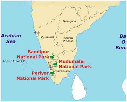 SimplifiedIAS's tweet photo. About Bandipur National Park and Forest Fires https://t.co/Mb7FhyEYLu https://t.co/7x2wLZFY7Y