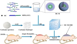 ApplMaterToday's tweet photo. New Article: A novel composite of micelles and hydrogel for improving skin delivery of hydrocortisone and application in atopic dermatitis therapy (Qian) #Transdermaldrugdeliverysystem #Hydrocortisone https://t.co/0xxL7TTHgd https://t.co/K9dSm31LEt