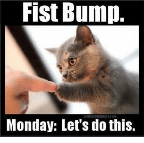 LilAngls's tweet photo. Today will be the Mondayest Monday EVER!! But we got this!  Have a great day! #monday #momlife #buckscountymoms #lowerbuckscounty #northeastphillymoms #kidsconsignment #consignmentmommies https://t.co/FNn0QegJML https://t.co/hQ7KFzpRN4
