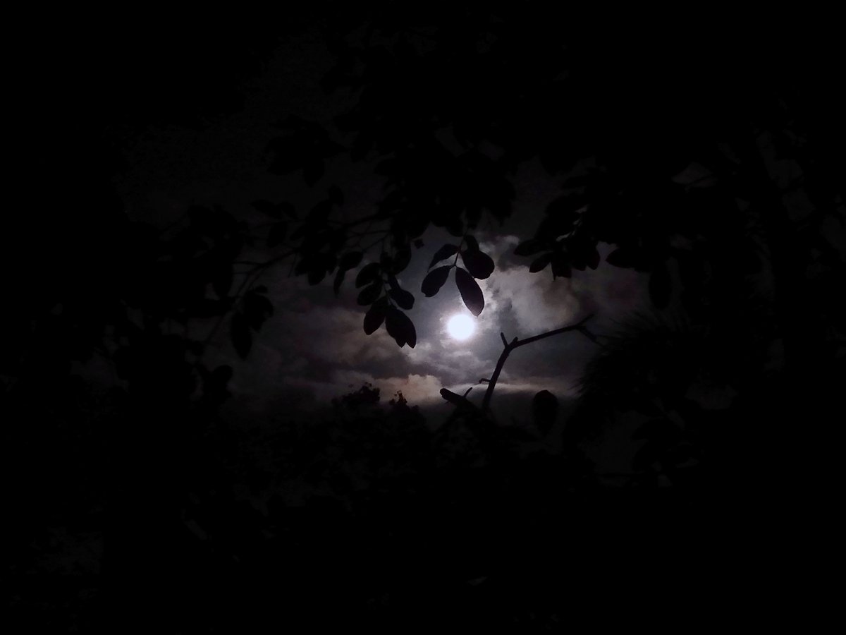 Jace_O8's tweet photo. To the Moon and Never back https://t.co/wWVIq7MMKf