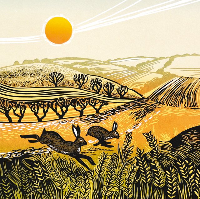 Green Pebble Cards tweet media