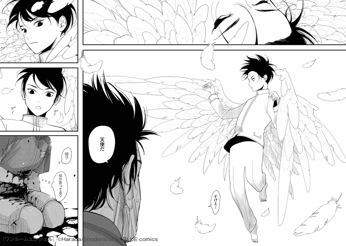 ㊗️重版㊗️勢いとまらず‼️
はらだ先生 『#ワンルームエンジェル』の8刷めの重版が決定??
「はらだ史上、最も優しい物語」
BLの枠を飛び越え、すべての老若男女に読んでほしい深い1冊です。
後世に受け継がれるBL間違いなし❣️
試読?https://t.co/wUL0rmB3lU 
熱い感想まとめ?https://t.co/fakAXrmkh6 