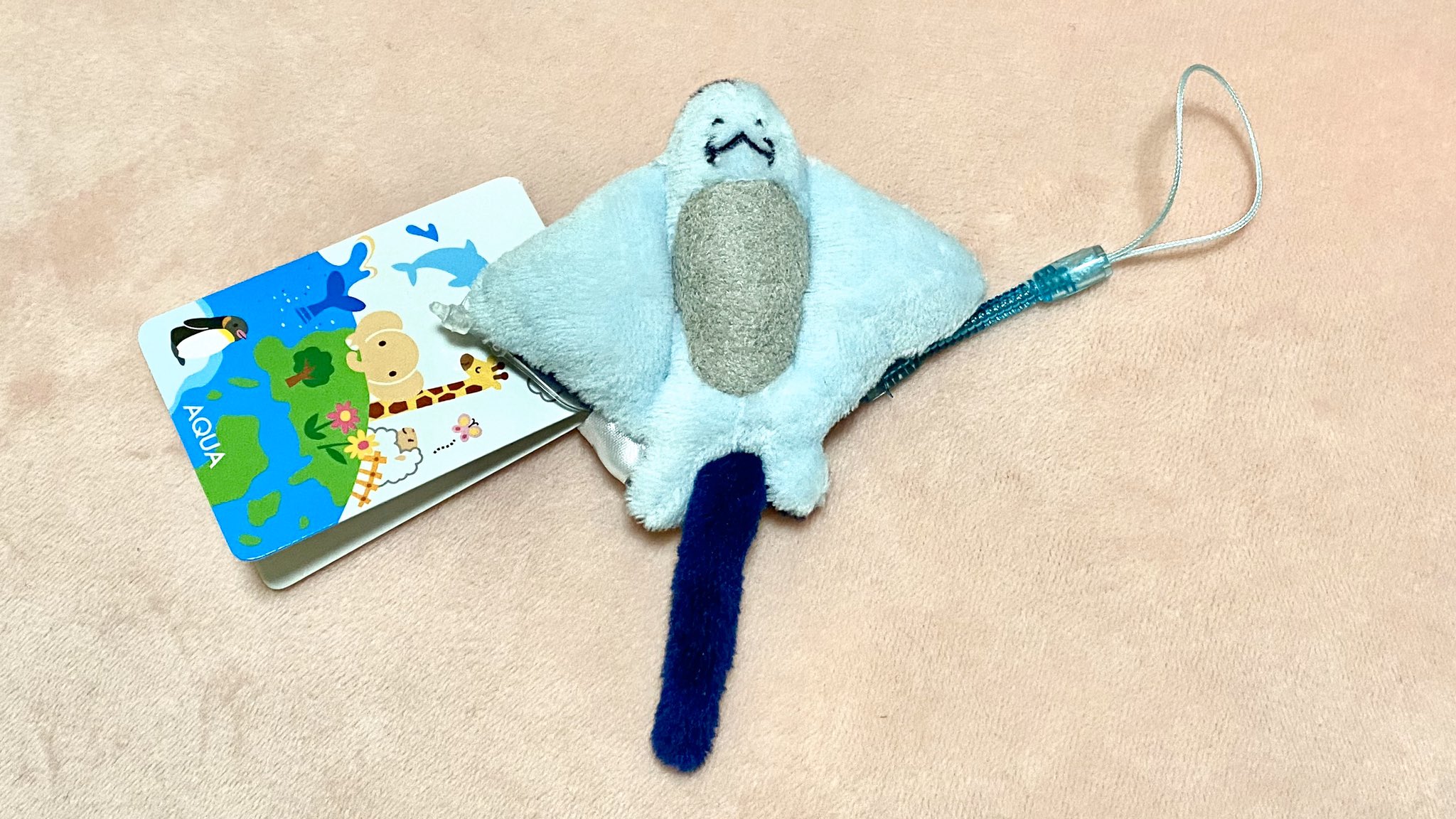 ししゃも これは あこちゃん見て エイの裏側 扇情的だね の元ネタへのリンクと共に友人にプレゼントしたエイ裏のお土産 ししゃも これは あこちゃん見て エイの裏側 扇情的だね の元ネタへのリンクと共に友人にプレゼントしたエイ裏のお土産