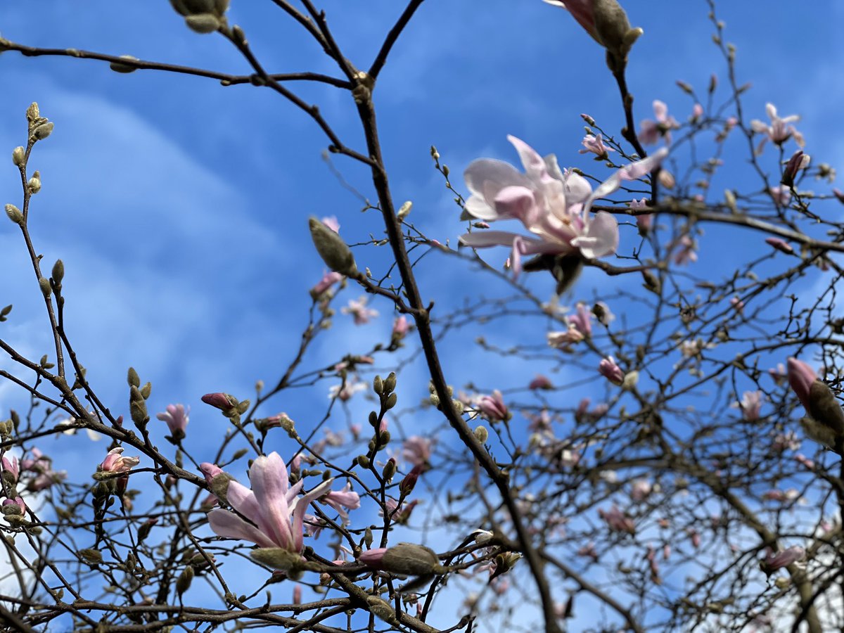 LawTransform's tweet image. Kick-off for #PROTECT in the Brussels spring. Congratulations to @HakanGSA and team and good luck with the research on migration policy. #MigrationCompacts @UiB @UiB_sampol @jacobsenchri