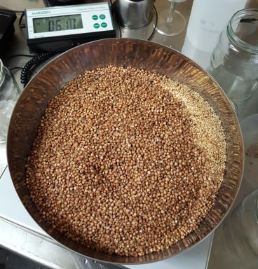 MarsdenScales's tweet photo. @biohmhome love their new Marsden B-250 #floor #scale. The free-moving, magnetic indicator makes cooking up large amounts of grain spawn easy. Read their full 5* review here > https://t.co/l6ajTcYajn
#mycology #ecologicaldesign #growingmaterials https://t.co/7AhUScSjIU