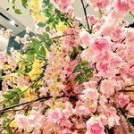 ツイートに含まれる画像