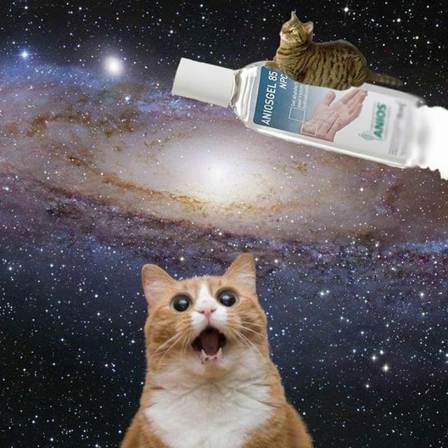 Reperkusound tweet media