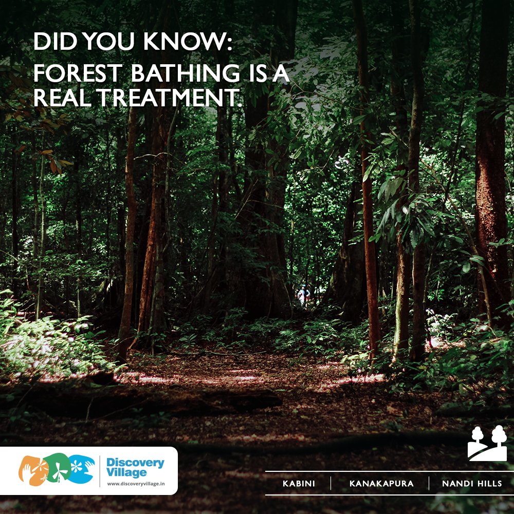 It is prescribed in Japan to treat insomnia, depression, mood swings, stress &amp; other mental ailments. Do you think you'd try out forest therapy if your doctor recommended it?

#japanesemedicine #discoveryvillage #nature #healingpowers #wellness #holistictreatment #india