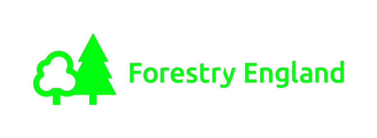 Forest Education Network England tweet media