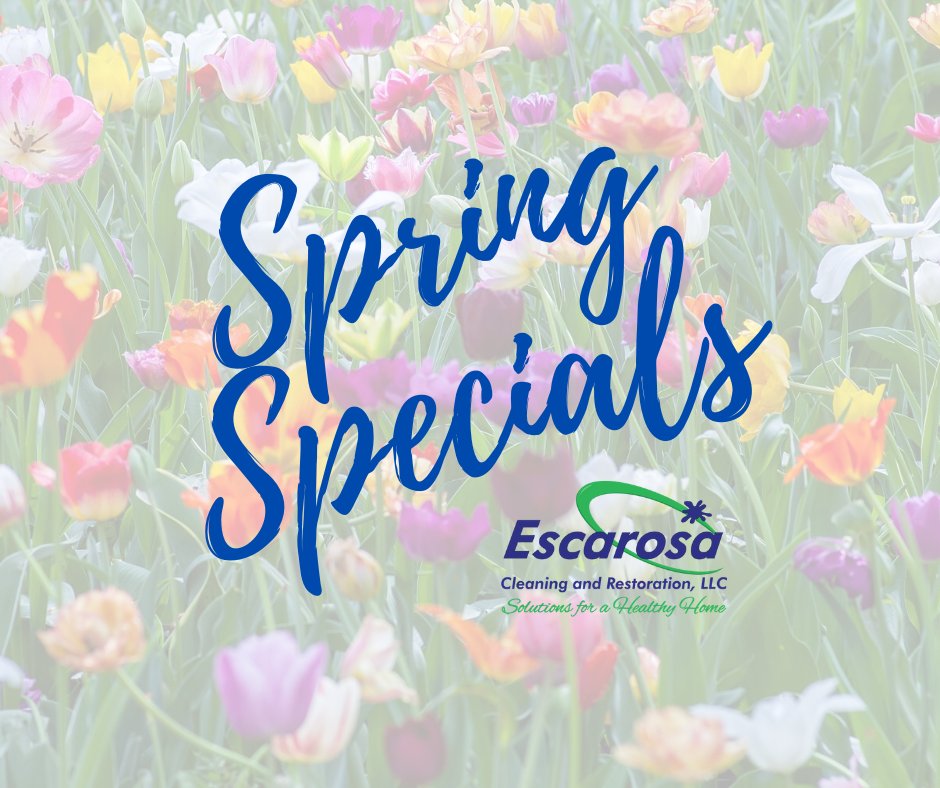 EscarosaCarpet's tweet photo. Disinfect your home w/ our carpet & upholstery cleaning services! Get rid of the winter dirt, pet odors, & dust mites that can cause allergies & illness.
β’ Check out our Specials! https://t.co/rrYjM7BPEV
#disenfect #springspecials #carpetcleaning #Springcleaning #Pensacola https://t.co/XVqgCNSU9c
