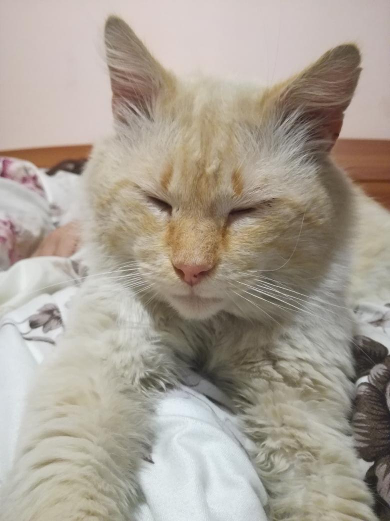 floofster1's tweet photo. im tired https://t.co/Xu2Xbh9Yo7