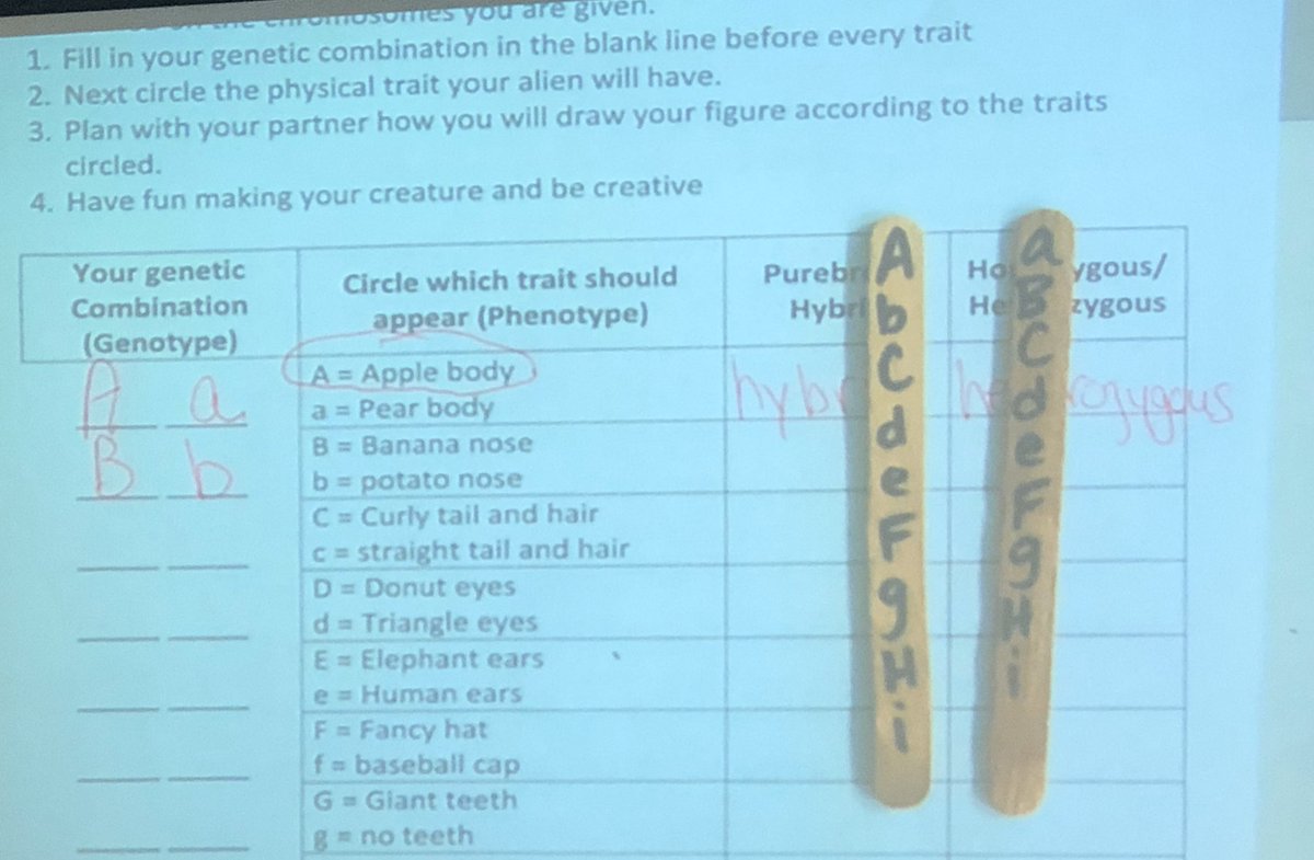 MahwahSci_Eng's tweet photo. Learning how genes determine traits with an “Alien Genes Activity” in Mrs. Walter’s sixth grade life science class! @RamapoRidgeMS @mahwahschools #mahwahconnects https://t.co/AIr4aVa27y