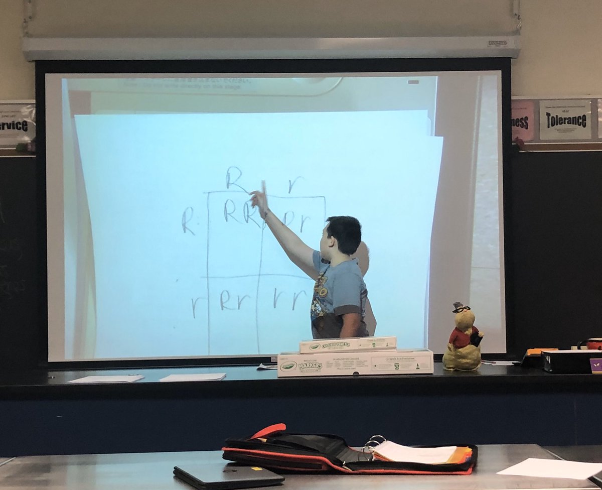 MahwahSci_Eng's tweet photo. Learning how genes determine traits with an “Alien Genes Activity” in Mrs. Walter’s sixth grade life science class! @RamapoRidgeMS @mahwahschools #mahwahconnects https://t.co/AIr4aVa27y