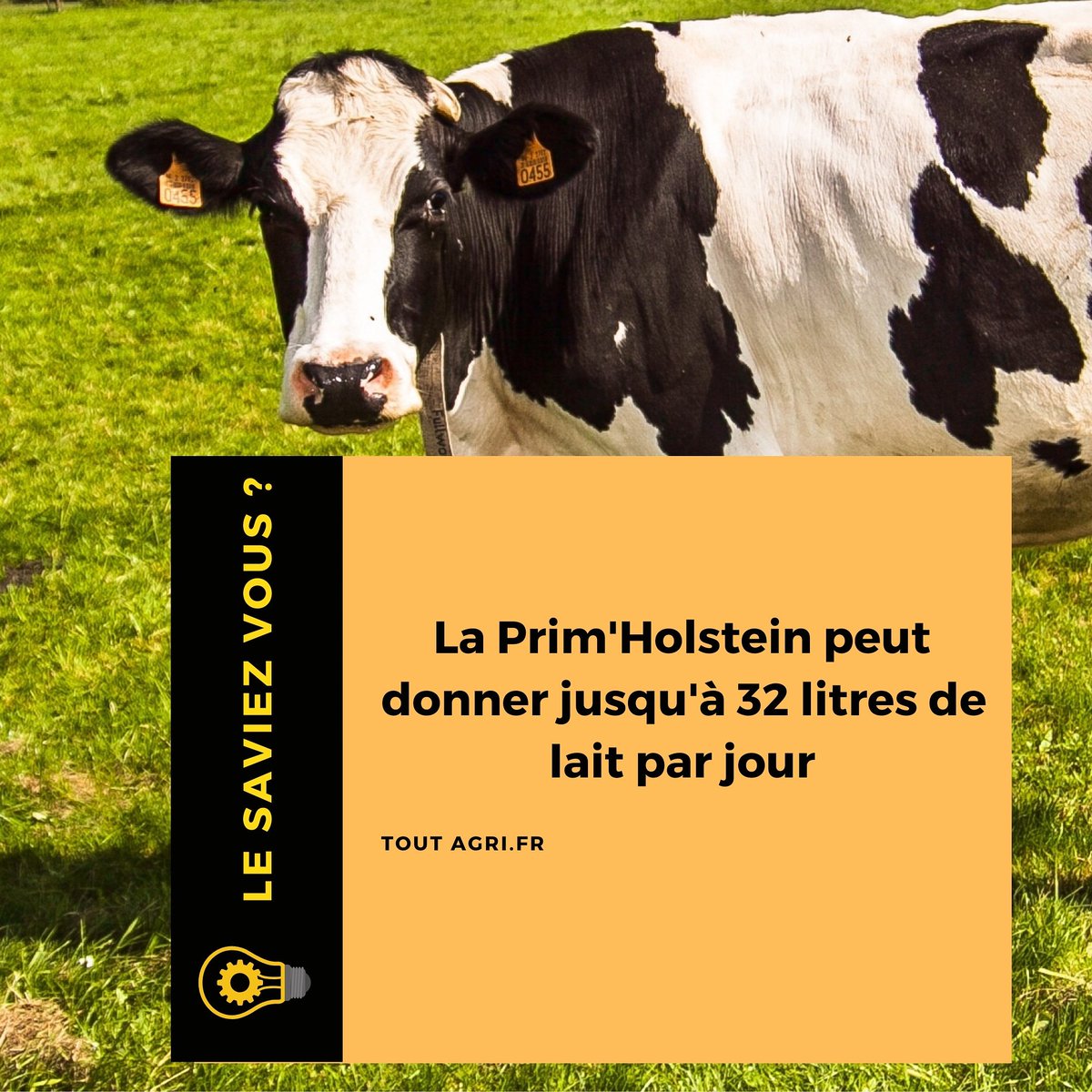 FêteDeL'agriculture (@feteagri) on Twitter photo 