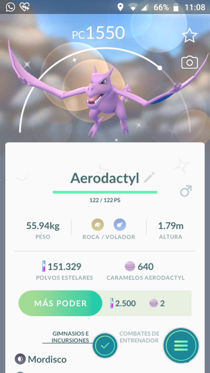 georgel06's tweet photo. 2x1 DE AERODACTYL
@DavidpetitGO @melo_cotona @DracoGames90 @keibron @LioVlogs @Clau_Vlogs @Midesdemar @Goyogem @HumixGo @ParanoiasGamers @SoninGame @nidospokemongo @pokestgo @PokemonGoFans4 @TUGGERCITO @MorritaPokemon @Terminador73JP @trainer504 https://t.co/yMYT2XjehJ