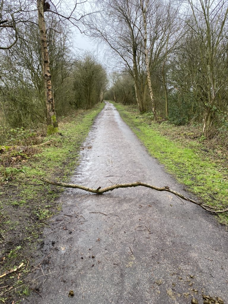 AdamBBrowne's tweet photo. Some pathetic cretins decided to position trees and branches across the Greenway today, from Tile Hill to Bluebell Wood. I cleared all 17 barricades but sadly didn’t run into the filth that thought it was a good idea @Warwick_DC https://t.co/WGBcYBsTyt