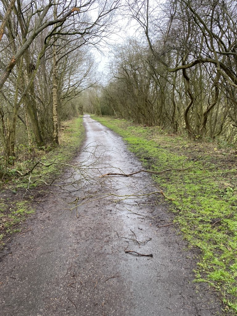 AdamBBrowne's tweet photo. Some pathetic cretins decided to position trees and branches across the Greenway today, from Tile Hill to Bluebell Wood. I cleared all 17 barricades but sadly didn’t run into the filth that thought it was a good idea @Warwick_DC https://t.co/WGBcYBsTyt