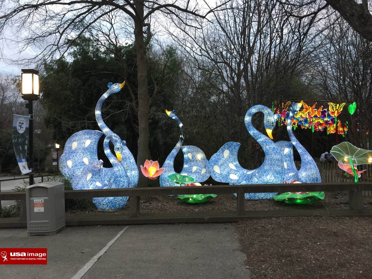 USA_Image's tweet photo. We are happy and proud to say we helped the @LouisvilleZoo with the amazing Wild Lights Asian Lantern Festival!
A MUST SEE!
www.USAImage,.com
#USAImage #LouisvilleZoo #WildLights #LouisvillePrinters #DigitalPrint #PrintingIndustry #PrintingServices #SignShop #SignMaker https://t.co/ReAbelW1wo