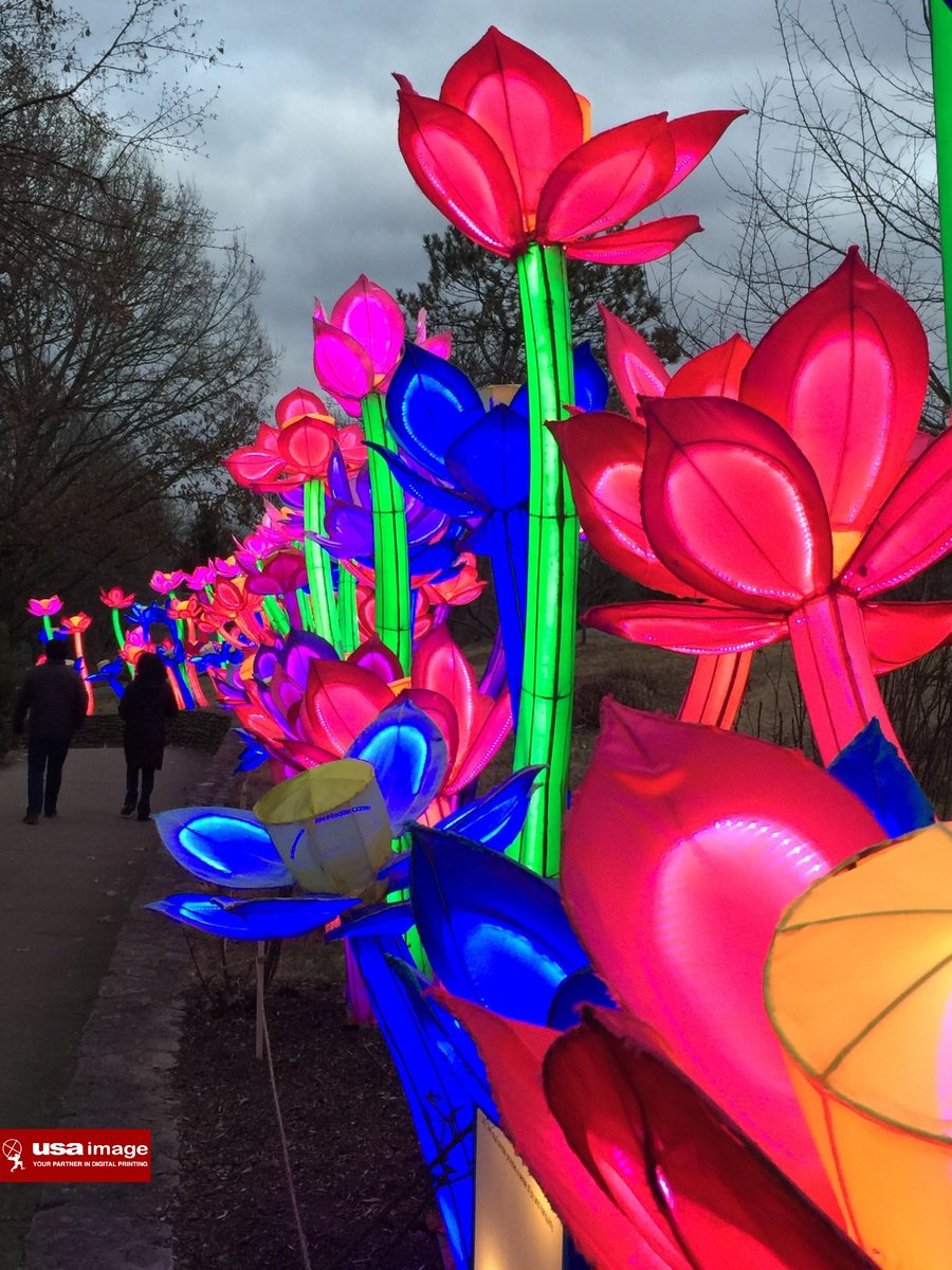 USA_Image's tweet photo. We are happy and proud to say we helped the @LouisvilleZoo with the amazing Wild Lights Asian Lantern Festival!
A MUST SEE!
www.USAImage,.com
#USAImage #LouisvilleZoo #WildLights #LouisvillePrinters #DigitalPrint #PrintingIndustry #PrintingServices #SignShop #SignMaker https://t.co/ReAbelW1wo