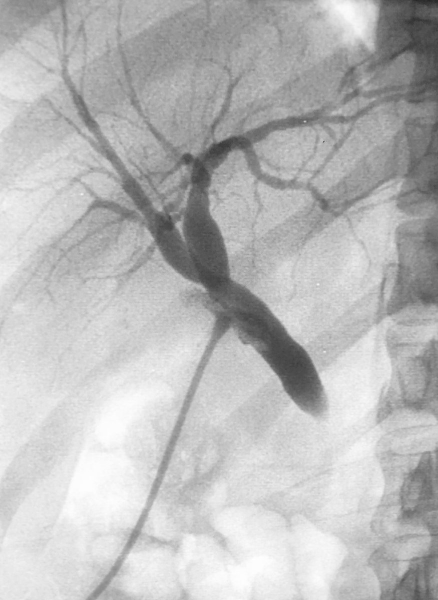 Endoscopia Gea #QuedateEnCasa tweet media
