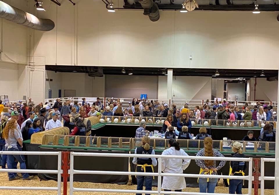 Denton Guyer FFA tweet media