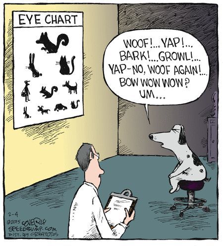 Anderson&Shapiro Eye tweet media