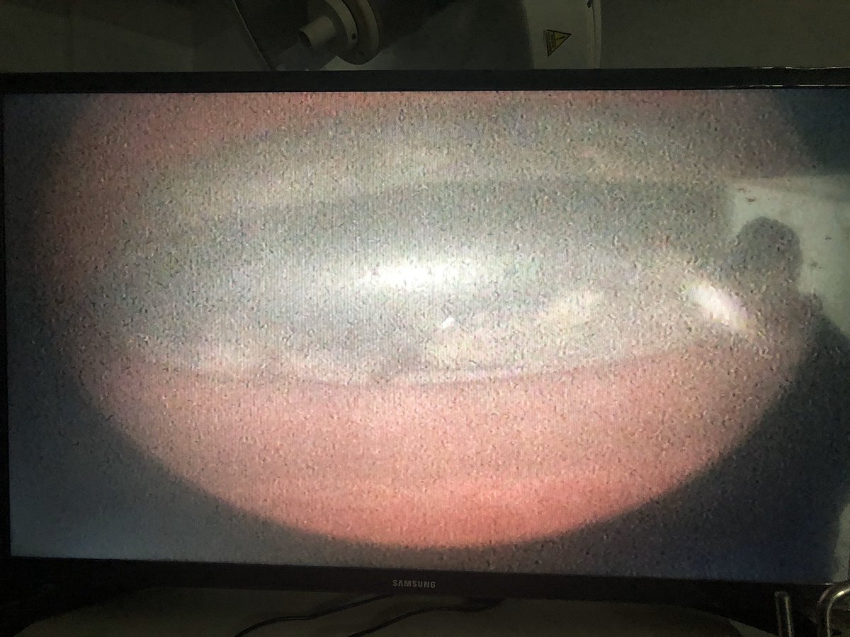 mohamed elshazly tweet media