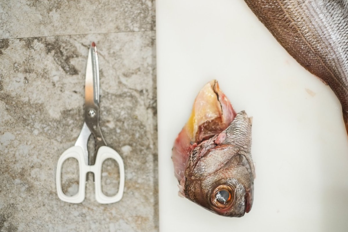 Monday mood. 🐟😜 #amiright ⁣
⁣
Master fish butchery, polish your knife skills, explore modern cooking techniques, perfect your paella or your Sunday roast... take your pick. 👨‍🍳🧑🏽‍🍳👩🏻‍🍳