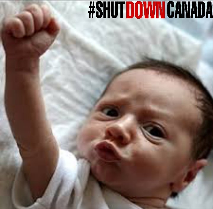 Foff28356374's tweet photo. ☮️#ShutDownCanada ELECTIONS
WE WIN 💜✊🏽

- #ClimateJustice
- #IndigenousRights
- Public #Debt slash, less taxes
- FREE tuitions no limits
- FREE FULL HEALTH
- 35hr weeks, overtime paid, $18/h

+ I'm IN😎☮️✊💙

VOTE #ClimateRebels ✊🏽☮️

#WetsuwetenStrong
#stockmarket #coronavirus https://t.co/t3z926ci4G