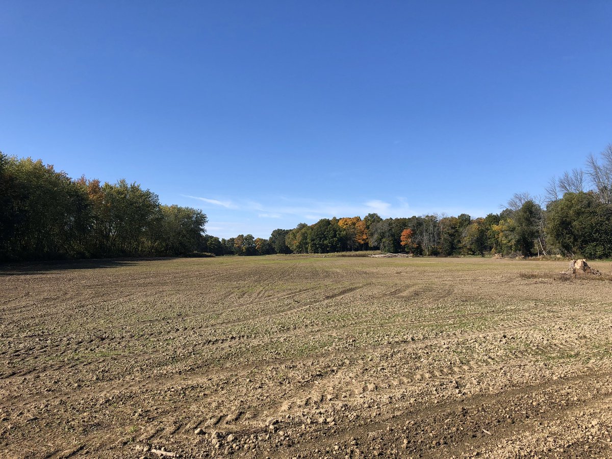 Last fall we were able to seed this unproductive 19 acre parcel into native wet meadow - we were able to undertake this large project w/ help from <a href="/ONTrillium/">Ontario Trillium Foundation</a> and will be starting our spring planting season very soon thx to their continued support! #nonprofit #restoration #alus