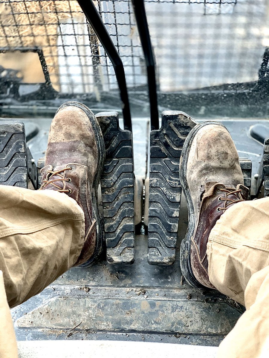 Graham Schuh tweet media