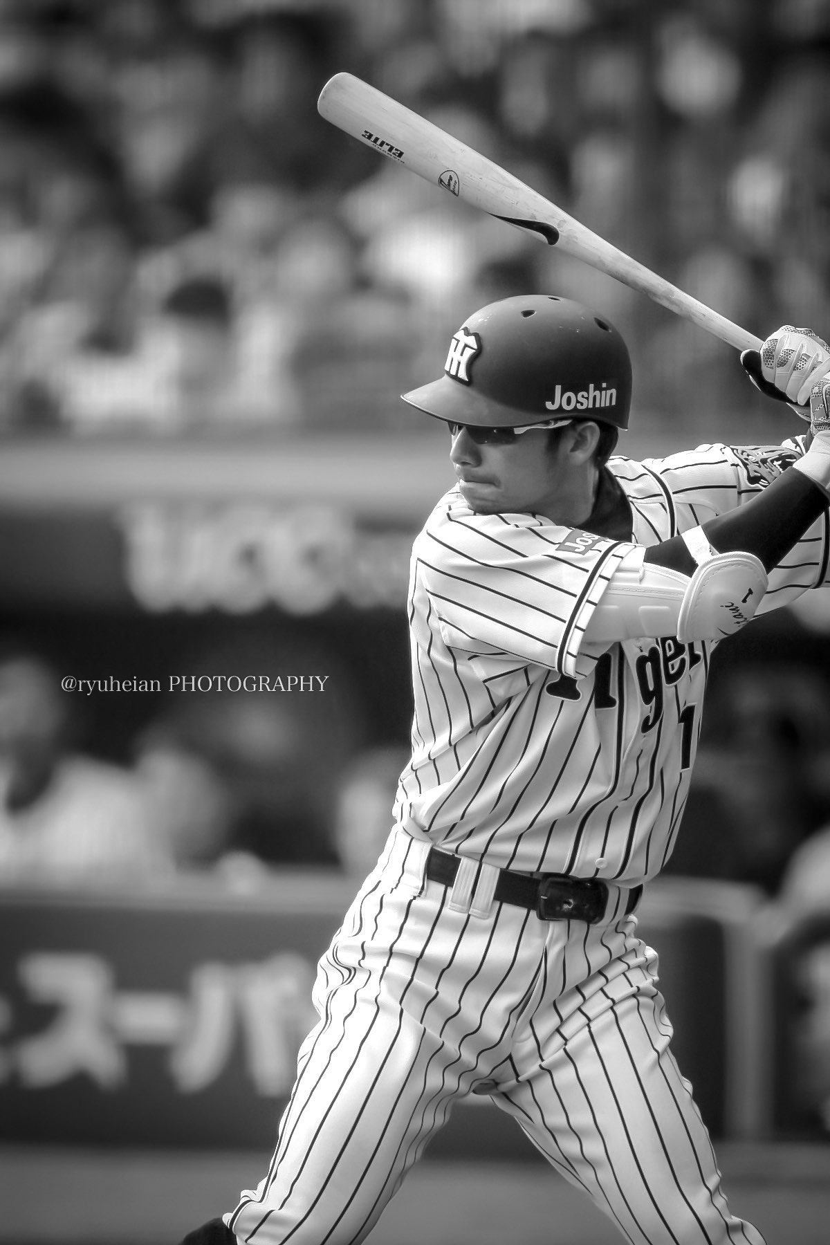 龍平／Photographer on X: 