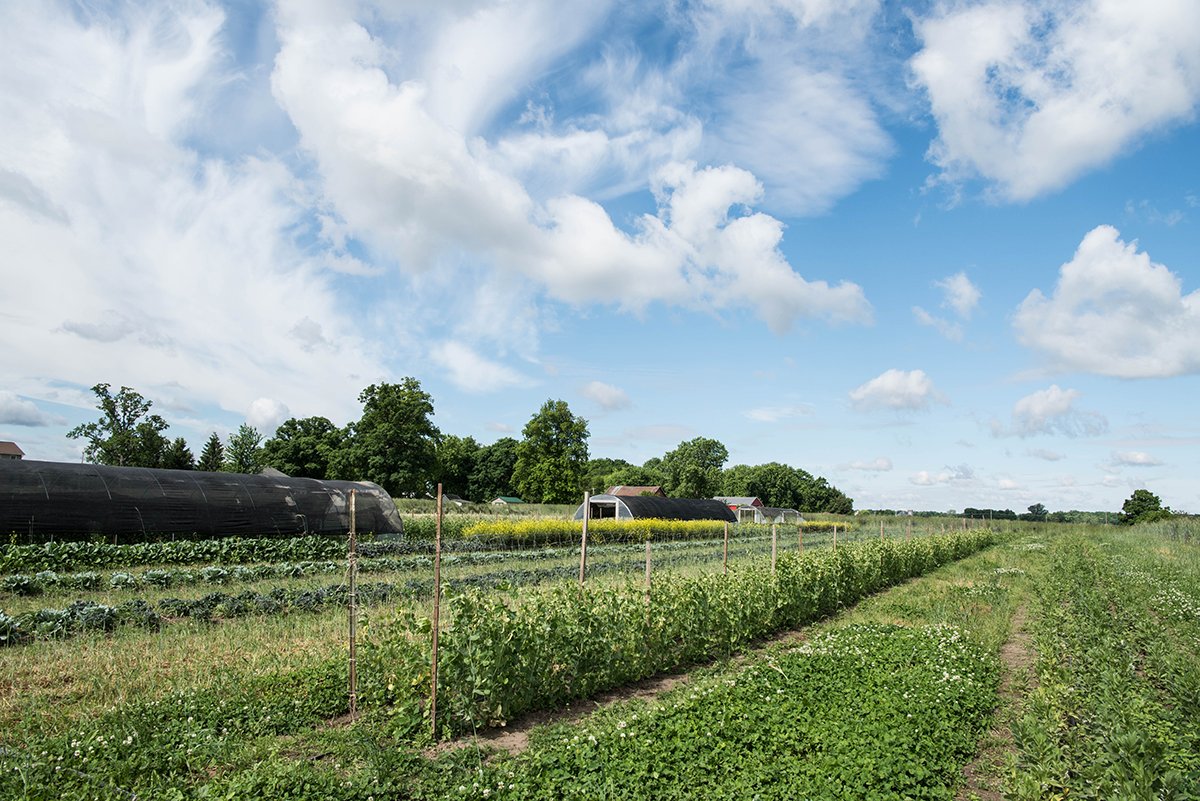 The Chef S Garden On Twitter Our Farming Philosophy