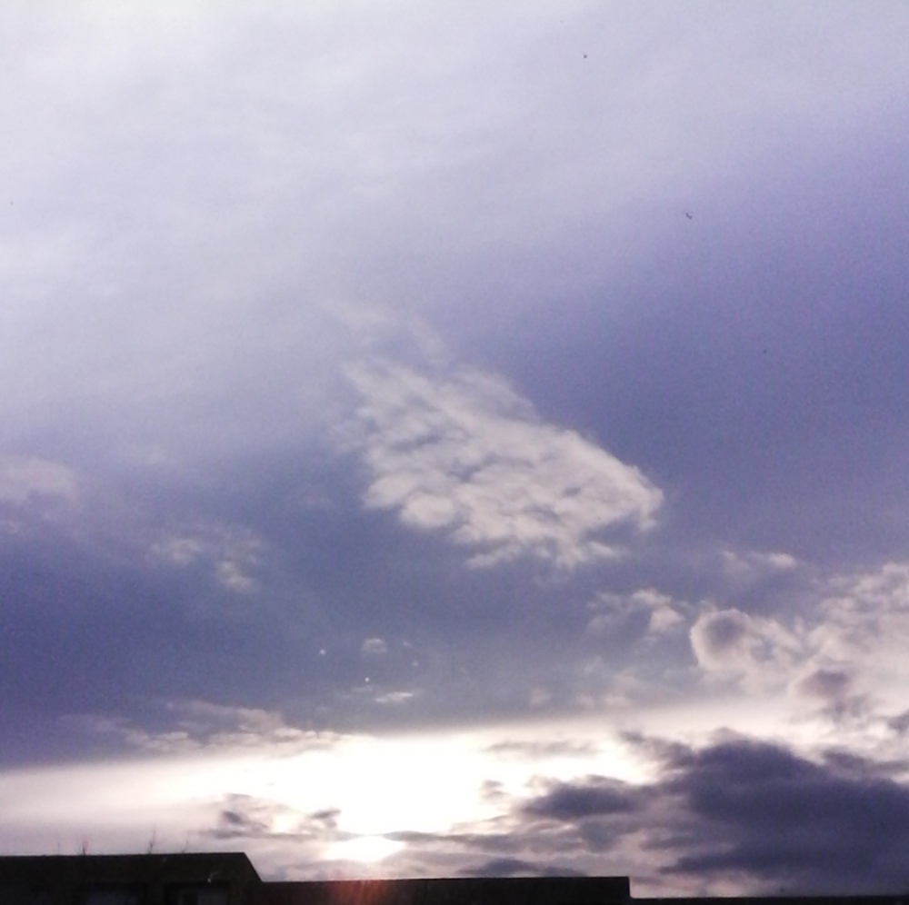 Büki Katalin tweet media