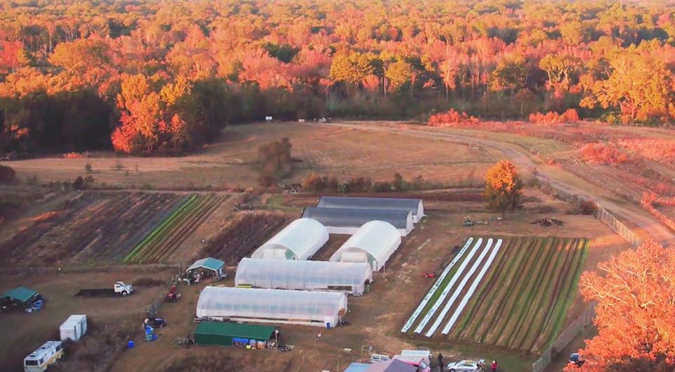 _fertileground_'s tweet photo. Join us for one of Mississippi’s largest farm to table dinners hosted by Farmer Dr. Cindy Ayers Elliott & Chef @reflectionchef. The dinner will debut #FootPrintFarms new farm to table workshop space.
#jxnms #FertileGroundExpo
https://t.co/NEvmSZHjWt https://t.co/S9qagHrLAP