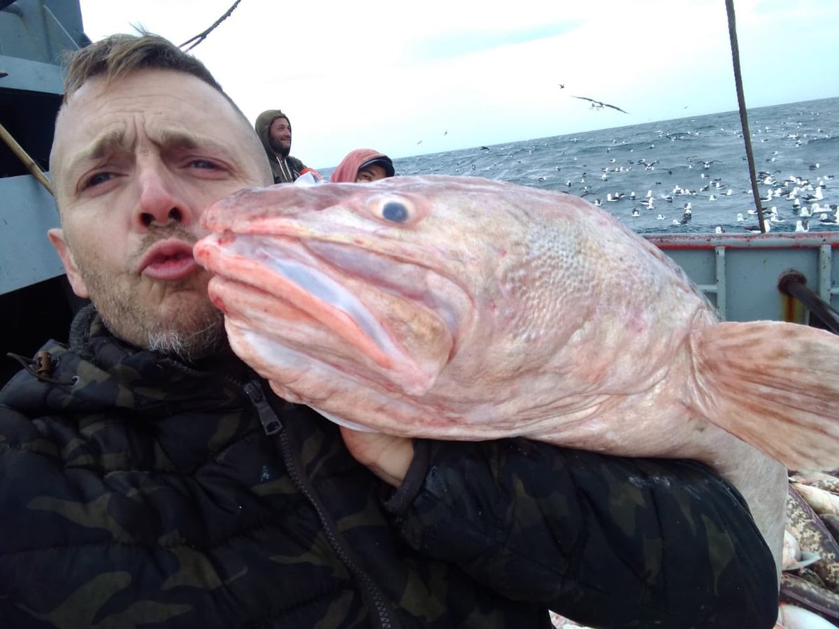 MRetrivi's tweet photo. Hello mate! Everyone watch now : A beautiful piece of Royal #Kingclip #wild #naturalfood #seafoodlovers #southatlantic #dreamteamcrew @matiabascal https://t.co/h31DtJi53H