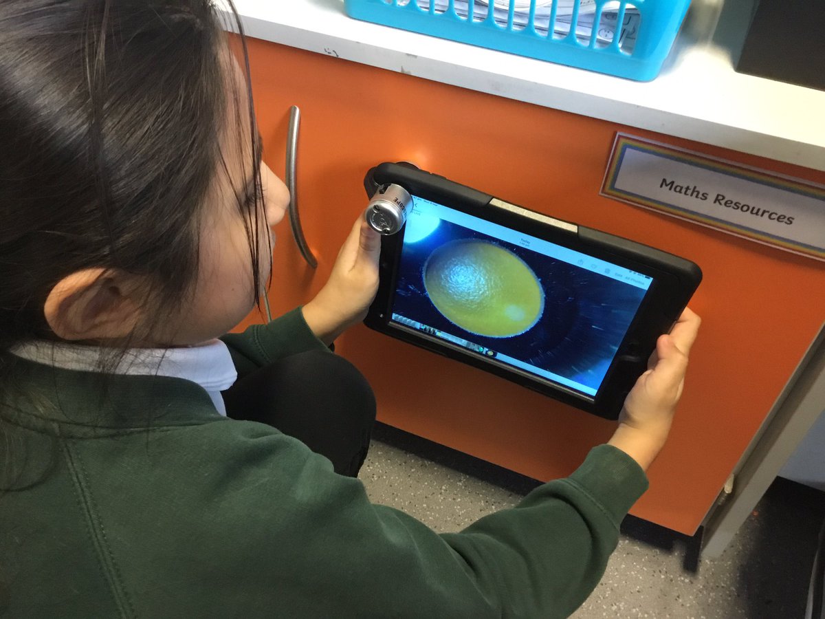 TGPS_NorthLincs's tweet photo. Year 4 have used the new microscopes today, they have spent time learning how to use them safely. They then worked with a partner playing ‘identify the object’ #TGPS #TGPSScience #TGPSYear4 #TGPSBritishscienceweek @ScienceWeekUK @Psqm_HQ https://t.co/YbRBKiRJoW