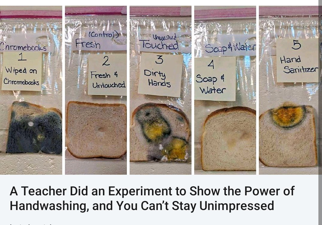 LewisEv76005298's tweet image. Interesting... #coronavirus #COVID2019 #business