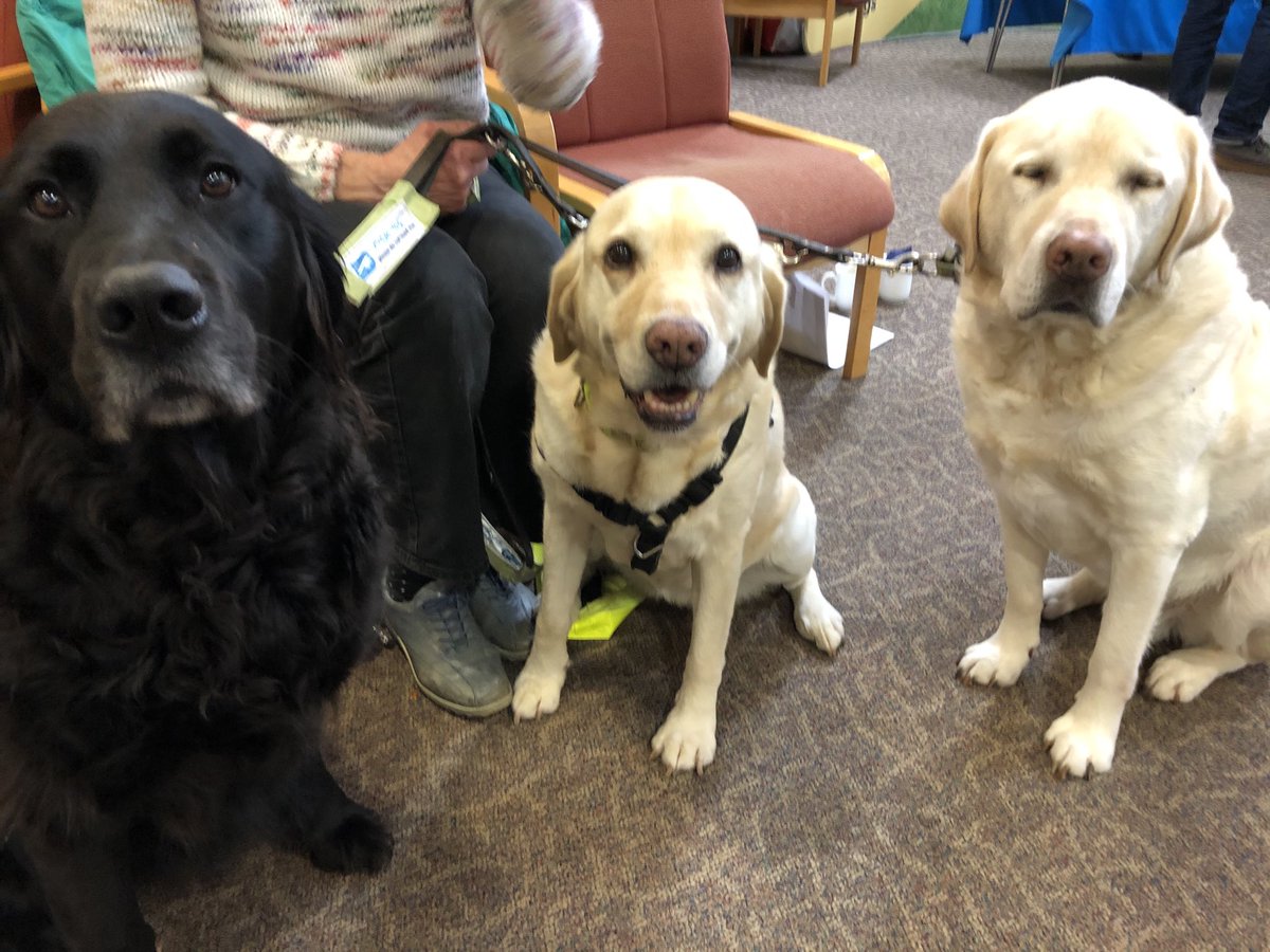 tom wright guide dogs