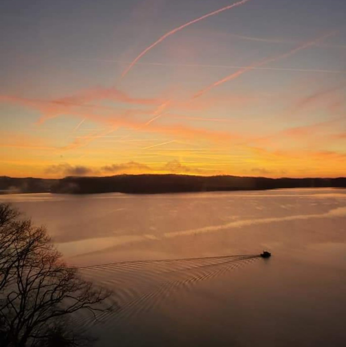 Lake Cumberland KY tweet media