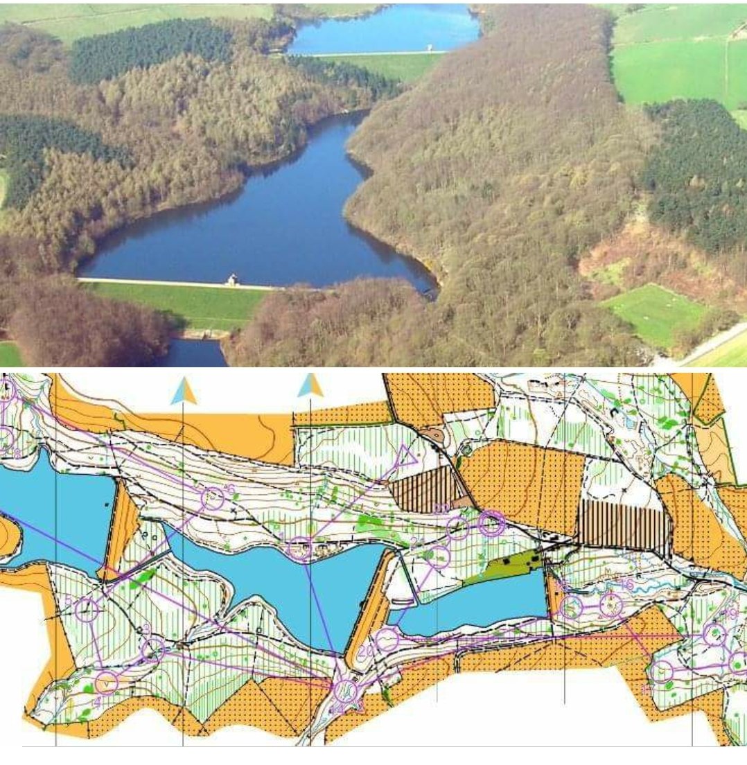 POTOC_Orienteering tweet media