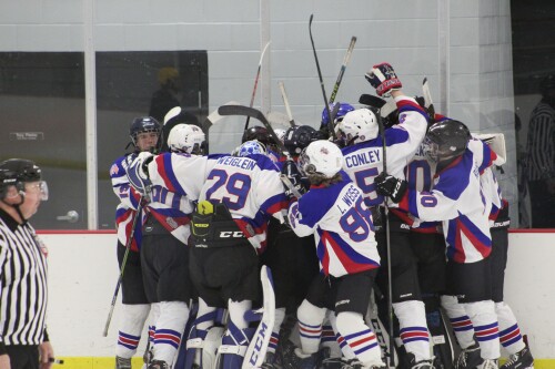 The <a href="/BuffaloStars/">Buffalo Stars</a>  16U Red boys are heading to the championship Saturday at 2pm to take on the Buffalo Bisons in the WNYAHL U16 MOHL Division Championship