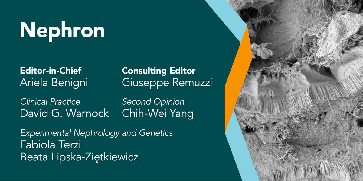 Nephron - a critical look at hot issues in Nephrology. 
📢 Visual Abstracts are offered for each research article. ✨ 
Submit your paper now! 
👉 bit.ly/39ADg2o 
#Nephron #Nephrology #VisualAbstract