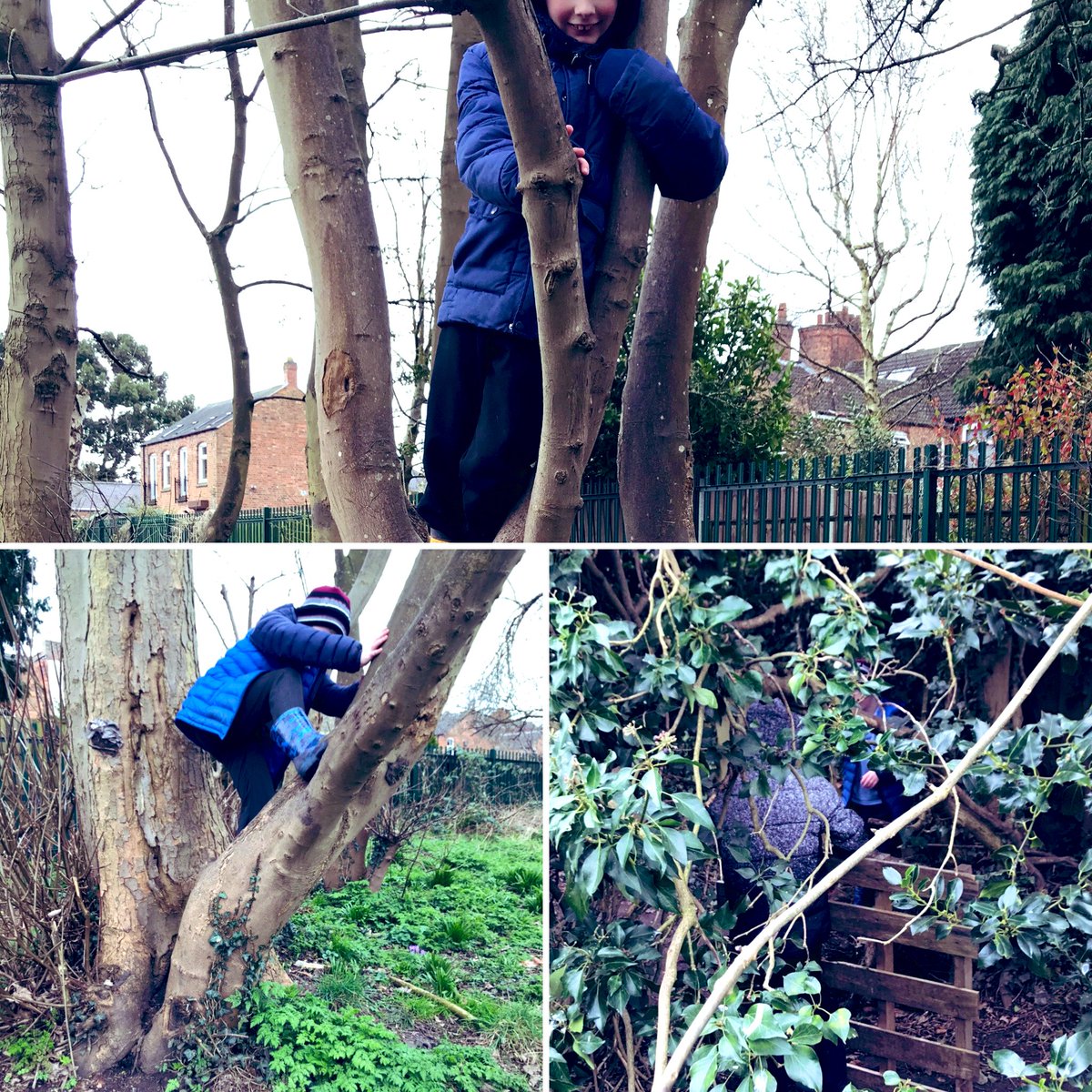 All_SaintsCofE's tweet photo. 🌳Footsteps have been climbing the trees and building their own dens! #🌳
#ForestSchool #SelfRisk #ForestSchoolDens #ChildLeadLearning #AutismAtForestSchool #ClimbingTrees #Spring https://t.co/ga1mdienFy