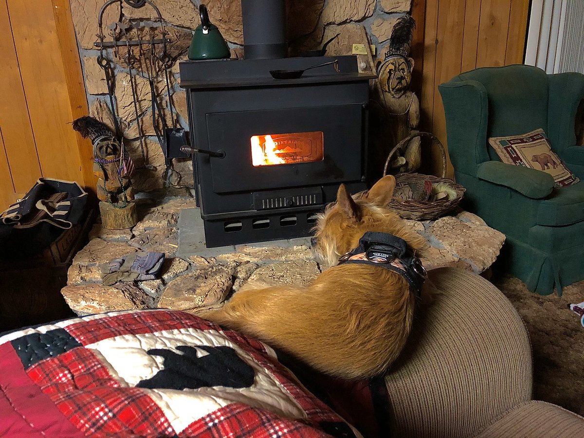 MikeSubocz's tweet photo. Grover’s got it right! LOL #cabin #woodstove #mountains #grover #arnold https://t.co/2PcBKxNiNu